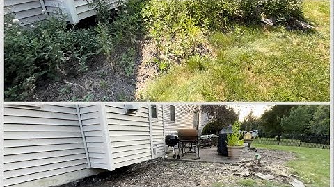 Yard Transformation 5 Weeds Pulled by Hand Satisfying