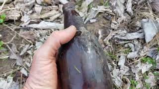 Forrest larking and bottle digging in the Ozarks with Rooter and Relic Rhonda.