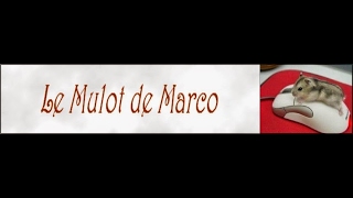 Le Mulot de Marco - Tutoriel Captvty