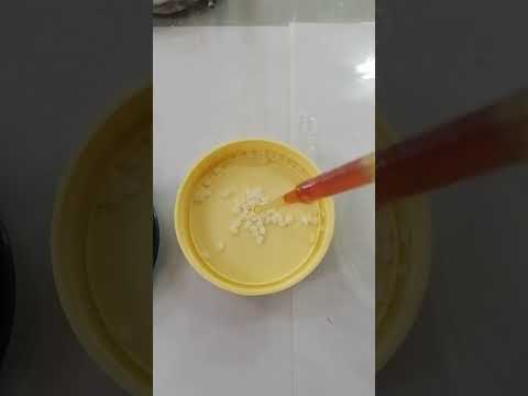 الكشف عن النشا