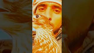 Fazza prince of Dubai ❣️ | #fazza#dubai#crownprinceofdubai#trending#viralvideo