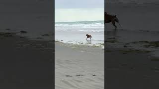 IMG 7107 1