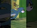 Tom i Jerry po polsku 🇵🇱 | Biegnij Jerzy, biegnij! | #shorts |  @WBKidsInternational