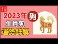 生肖不同命不同！2023年生肖狗運勢如何？不同年份的屬狗人運勢詳解！再忙也花兩分鐘看看！#大佬你好啊