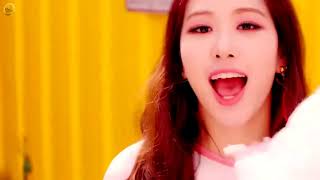 Twice and Blackpink megamashup