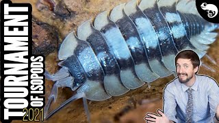 Isopod BATTLE Royale - Bracketed Roly-poly Tournament 2021