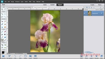 Greeting Card Setup Printing Photoshop Elements 11 12 13 Windows HP Vertical