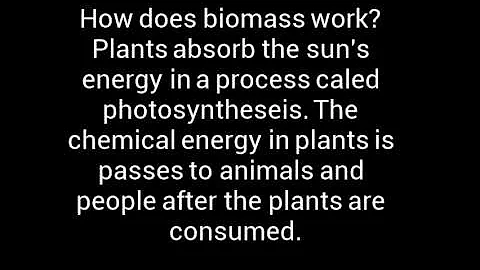 Kyleigh Ross biomass brodcast