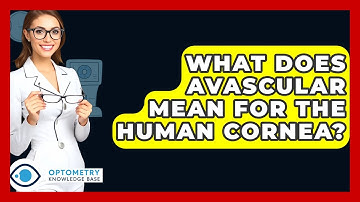 What Does Avascular Mean For The Human Cornea? - Optometry Knowledge Base