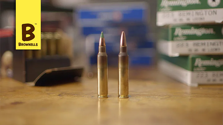 Tech Tip: AR-15 5.56/.223/.223 Wylde