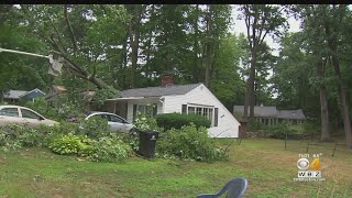 Neighbors Help Framingham Woman After Tree Falls On Her Home
