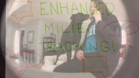 Enhanced Milieu Teaching Video