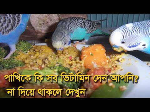 ভিডিও: আপনার পাখির পেরেকগুলি কীভাবে ছাঁটাবেন এবং গল্পটি বলার জন্য লাইভ করুন