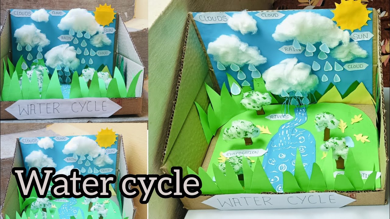 water cycle project ! || Water cycle science project || water cycle ...