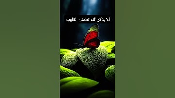 #دويتو  #اكسبلور #عبدالعزيز_سحيم #سورة_يوسف #like#القرآن_الكريم