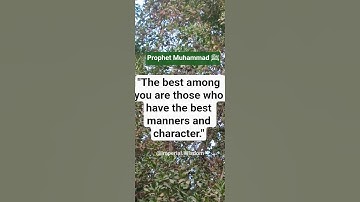 The best among you are those who have the best manners and character | Prophet Muhammad ﷺ (Bukhari)