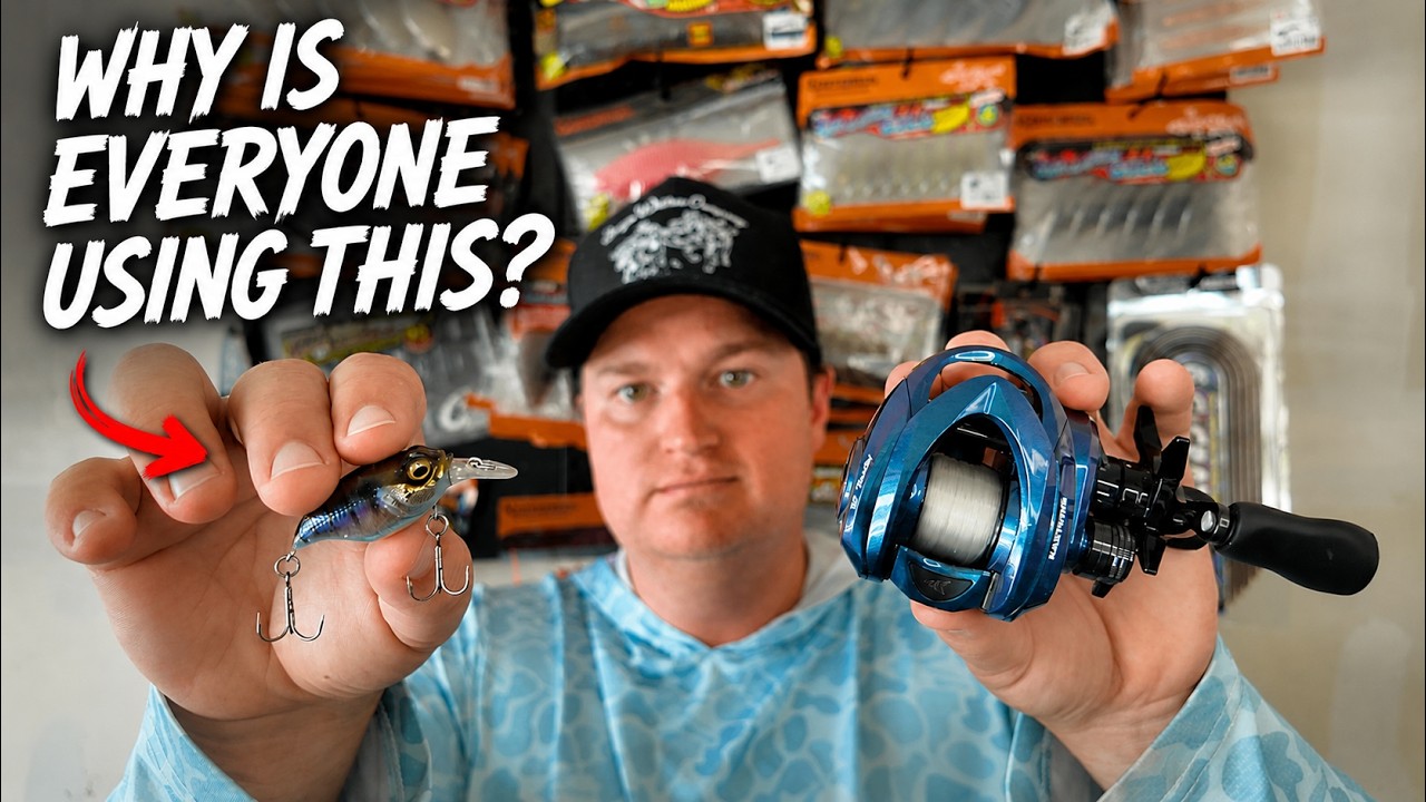 What is BFS Fishing? The Complete Beginner's Guide to Bait Finesse Bass Fishing