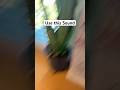 Use this Sound #usethisaudio #viral #usethissound #comedy