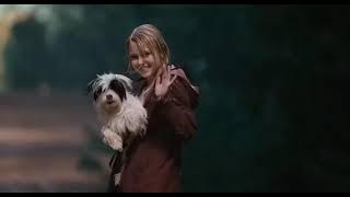 Wish you were here - Neck Deep | Sad ending