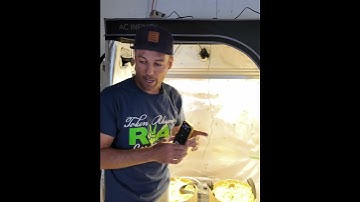 AC Infinity Controller AI+ Setup for Autoflower Grow