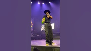 Go Down Deh - Sean Paul Shaggy And Spice | Official Video | #festival #concert #dancehall #livemusic