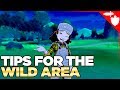 Explore the Wild Area RIGHT in Pokemon Sword and Shield