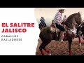 PUEBLOS DE JALISCO: FIESTAS EN EL SALITRE, JALISCO 2020 [CABALLOS BAILADORES]