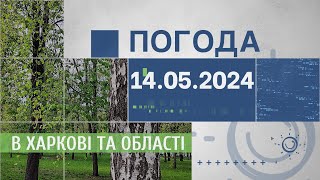 Прогноз погоди в Харкові та Харківській області на 14 травня
