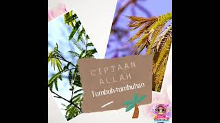 Modul Transisi (Tahun 1)
