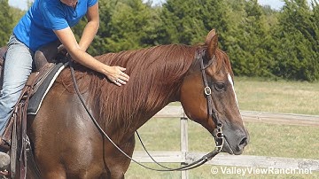 Miss GQH Image***For info, price, etc., go to our website***ValleyViewRanch.net