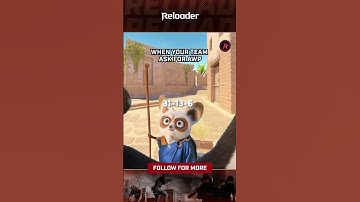 when your team ask for awp #counterstrike
