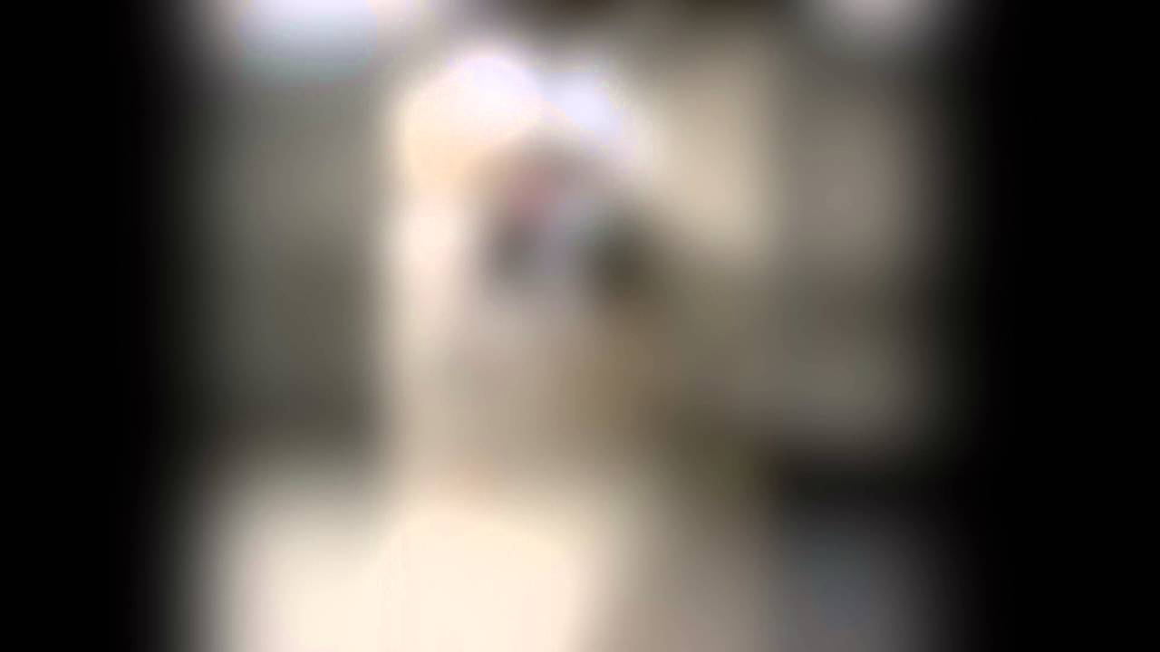 INLINE ACADEMY / škola kolečkového bruslení