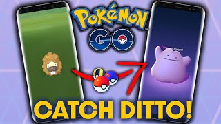 HOW TO CATCH *DITTO* in JUNE in POKEMON GO screenshot 5