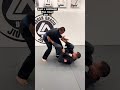 #jiujitsu Move of the day 🤙🏽 spider to triangle choke #bjj #bjjlifestyle