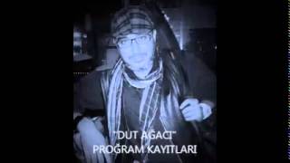 Dut Ağaci