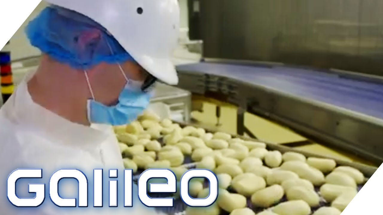 10 Mio. Brötchen aus Europas größter Backfabrik: Wie frisch sind die Brötchen? | Galileo