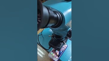 Watching RGB pixels in cell phones by microscope #electronic #RGB #RedGreenBlue #project