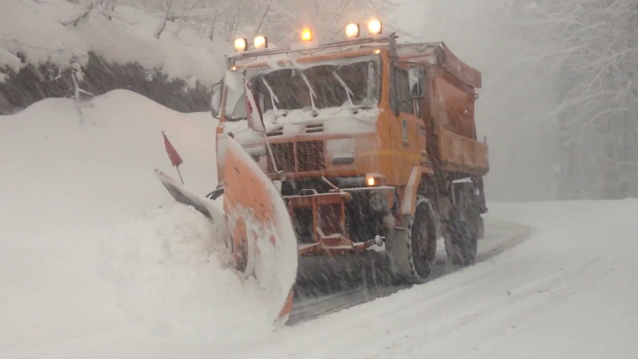 MALTEMPO: NEVICATA IN SILA, STRADE CHIUSE PER CADUTA ALBERI