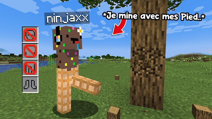 Je dois finir Minecraft sans mes Bras.. (impossible)