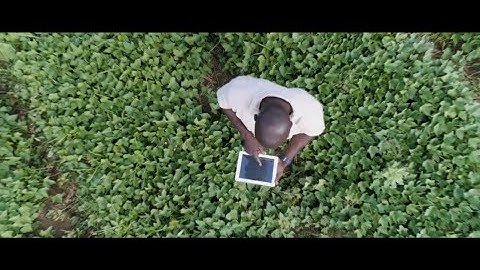 ACA: Becoming a smart farming cooperative with SAP S/4HANA and SAP Enterprise Support