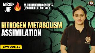CSIR NET 2026 Plant Physiology 2026 | Nitrogen Metabolism Assimilation Full Explain| Bansal Academy