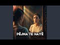 Pêjna Te Nayê