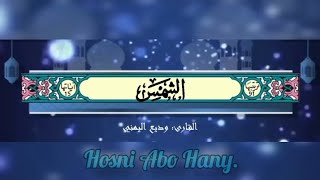 القرآن الكريم (سورة الشمس) #بصوت_جميل_للقارئ : وديع اليمني#القرآن_الكريم #وديع_اليمني #قرآن