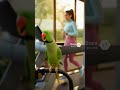 Parrot on the Treadmill-4