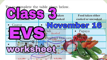 Class 3 EVS worksheet November 16