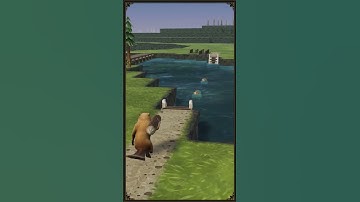 Starter Tips - Quick Tip #18 - Timberborn Shorts