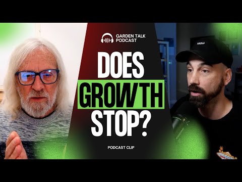 At High Temperatures, Plants Stop Growing?