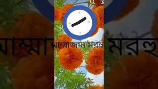 যার সাথে  মোহাব্বত তার সাথে ক্বিয়ামত ?শিয়ার করেন।সাথে থাকেন???