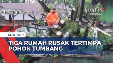 Tiga Rumah Rusak Tertimpa Pohon Tumbang