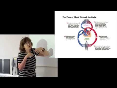 Video: Lung Function Is More Complex Than Scientists Thought - Alternative View